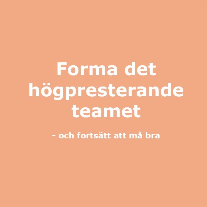 Teamutveckling